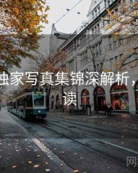秀人网独家写真集锦深解析，避坑必读