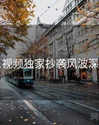 新91视频独家抄袭风波深解析