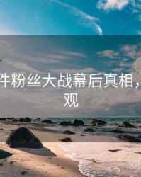 91大事件粉丝大战幕后真相，欢迎围观