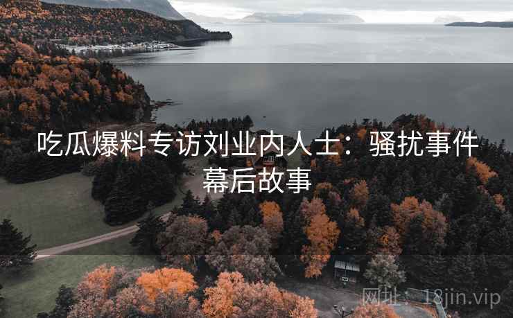 吃瓜爆料专访刘业内人士：骚扰事件幕后故事