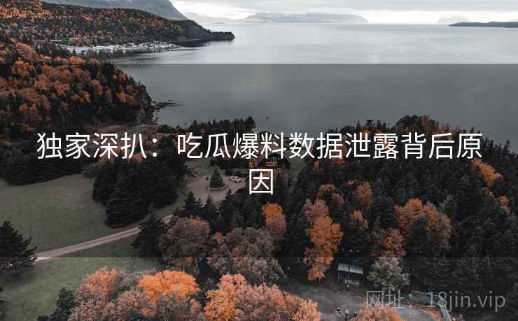 独家深扒：吃瓜爆料数据泄露背后原因